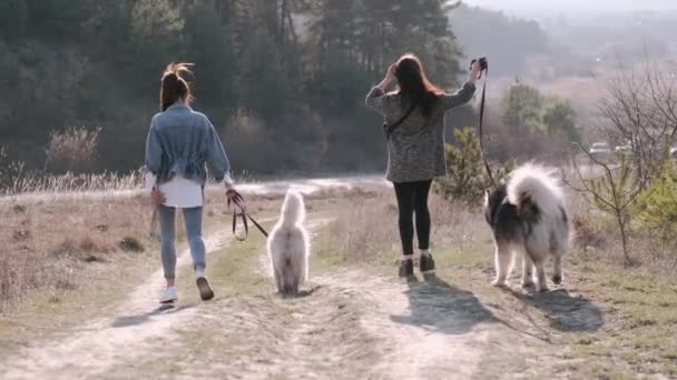 İki genç güzel kadın tarlada tüylü sevimli bir köpekle yürüyor. — Stok video