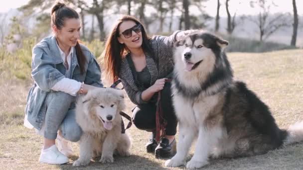 Giovani belle donne sorridono e si abbracciano con i loro morbidi cani carini — Video Stock