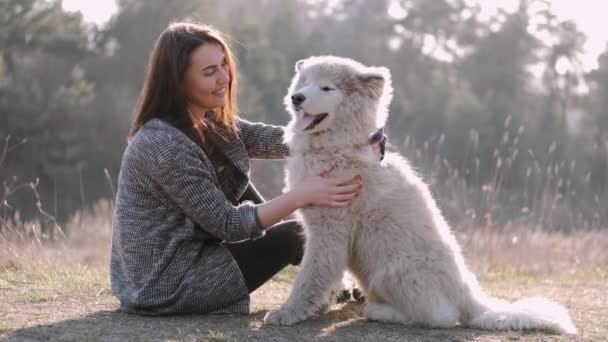 Красивая девушка гуляет с милой пушистой собакой в поле — стоковое видео
