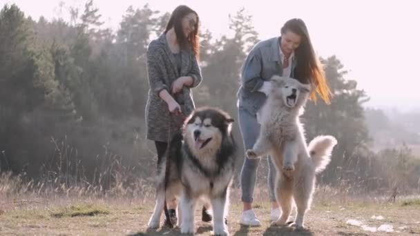 Duas jovens mulheres bonitas estão andando com cachorro fofo fofo no campo — Vídeo de Stock