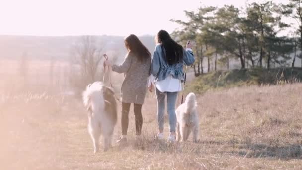 İki genç güzel kadın tarlada tüylü sevimli bir köpekle yürüyor. — Stok video