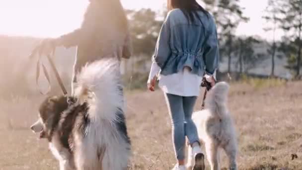 Dos mujeres guapas jóvenes están caminando con un lindo perro esponjoso en el campo — Vídeos de Stock