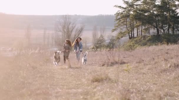 Zwei junge hübsche Frauen gehen mit flauschigem süßen Hund auf dem Feld spazieren — Stockvideo