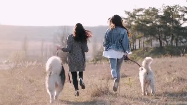 Zwei junge hübsche Frauen gehen mit flauschigem süßen Hund auf dem Feld spazieren — Stockvideo