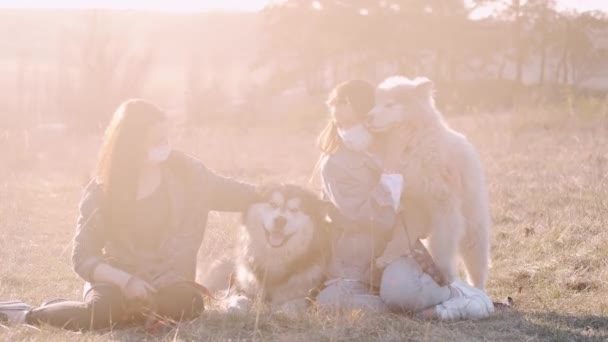 Guapas chicas jóvenes están caminando con perros lindos en el campo — Vídeos de Stock