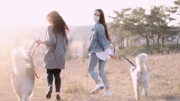 マスクのかわいい女の子は自然の中で犬と外を歩いています — ストック動画