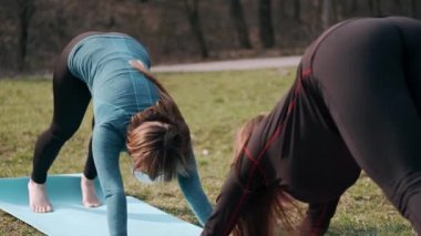 Spor kadınları sabah yoga egzersizleri yapıyor.