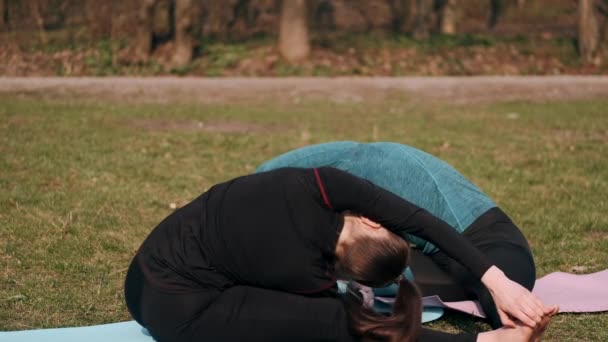 Sportlerinnen machen morgens Yoga draußen auf Matten — Stockvideo