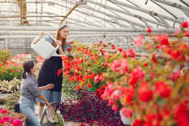 Çiçek saksılarıyla bir serada çalışan kadınlar