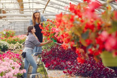 Çiçek saksılarıyla bir serada çalışan kadınlar