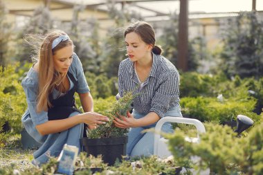 Çiçek saksılarıyla bir serada çalışan kadınlar