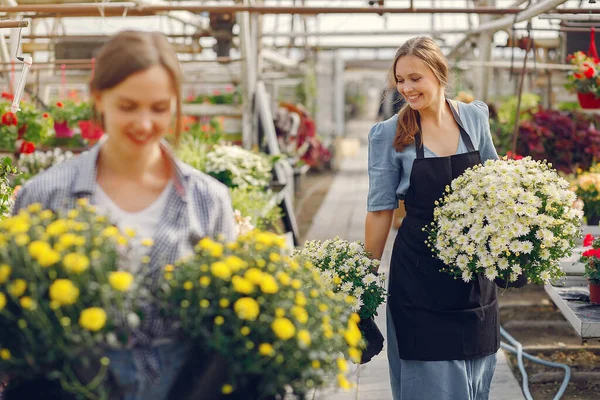 Mujeres que trabajan en un invernadero con flores —  Fotos de Stock