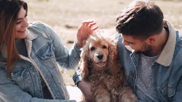 Mooie jonge vrouw en man zitten in het veld te wandelen met een schattige hond — Stockvideo