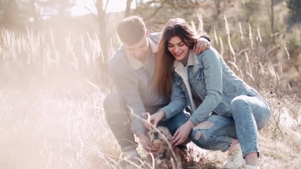 Het liefdevolle paar zit met een hond en glimlacht in het tarweveld — Stockvideo