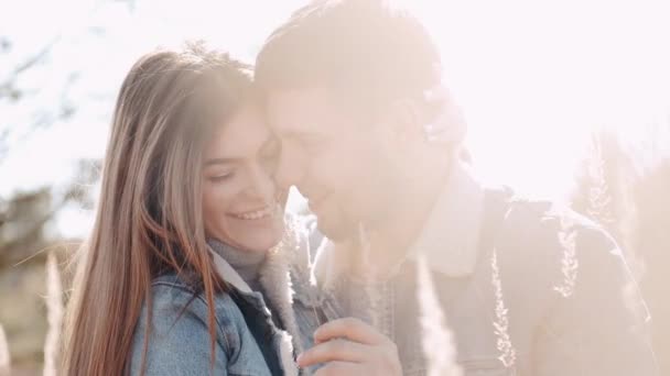 Любляча пара чоловіка і жінки цілуються на заході сонця в пшеничному полі — стокове відео
