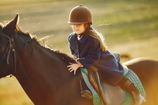 Söt liten flicka på ett höstfält med häst — Stockfoto