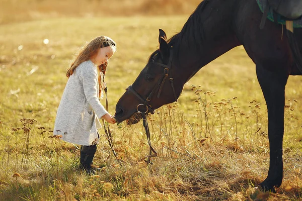 Cute little girl w jesiennym polu z koniem — Zdjęcie stockowe