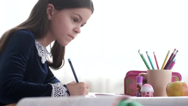Portret van brunette meisje doet huiswerk in school bibliotheek — Stockvideo