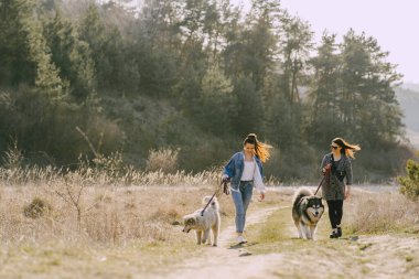 Bir bahar tarlasında köpekli iki şık kız.