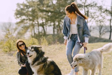 Bir bahar tarlasında köpekli iki şık kız.