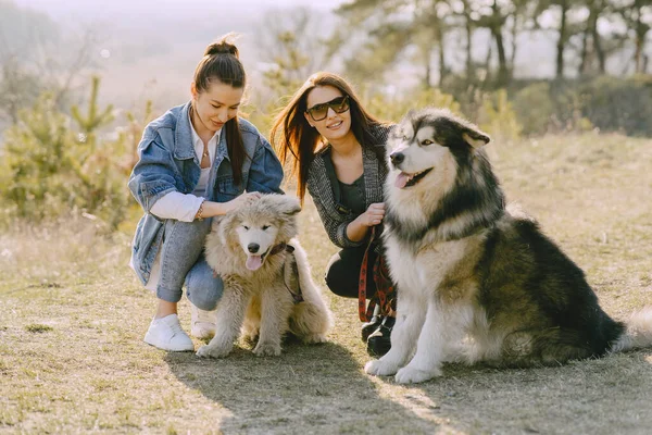 两个时髦的女孩在春天的田里带着一只狗 — 图库照片