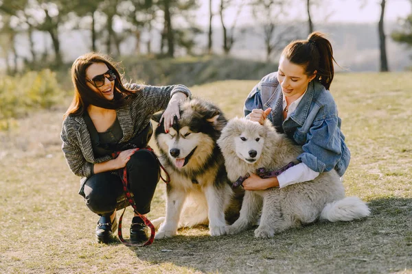 Dwie stylowe dziewczyny na wiosennym polu z psem — Zdjęcie stockowe