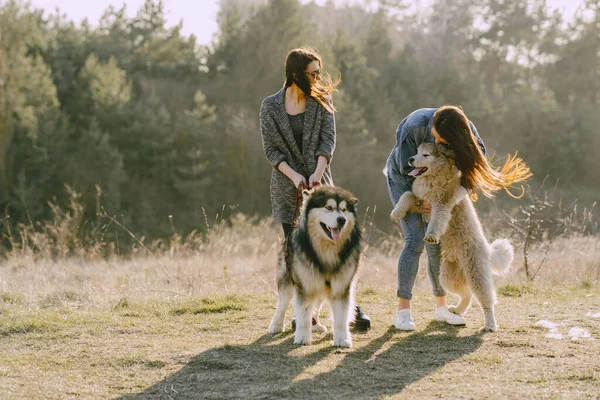 Duas meninas elegantes em um campo de primavera com um cão — Fotografia de Stock