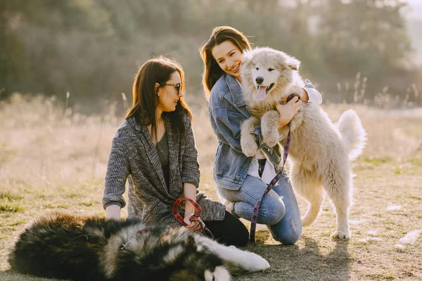 Bir bahar tarlasında köpekli iki şık kız.