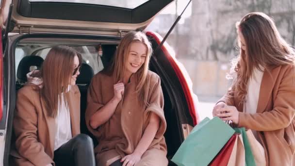 Привлекательные девушки ходили по магазинам и проверяли покупки в машине — стоковое видео