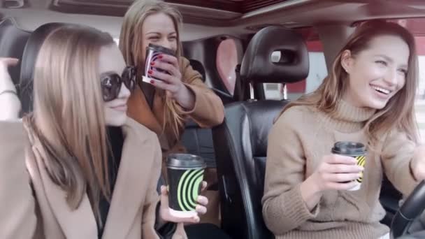 Привлекательные подруги веселятся в машине — стоковое видео