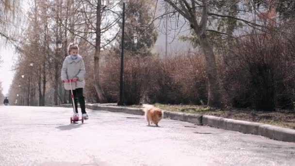 Девочка едет на скоттере по парковой аллее — стоковое видео