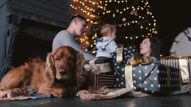 Vágott kilátás a kutya és a család a háttérben díszített szobában — Stock videók