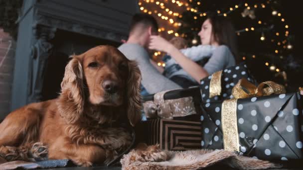 Обрезанный вид на собаку и семью на заднем плане в украшенной комнате — стоковое видео