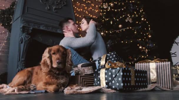 カップル接吻と犬は箱と装飾された部屋に坐る — ストック動画