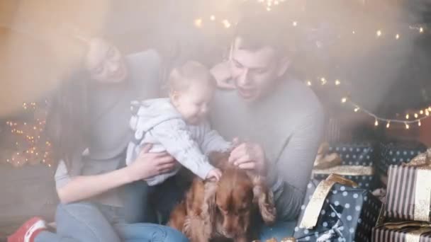 Gezin met kleine zoon en hond vieren kerstmis thuis — Stockvideo