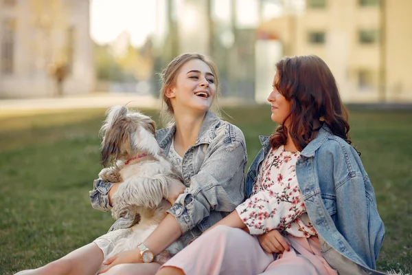 Parkta küçük bir köpekle oturan iki kız. — Stok fotoğraf