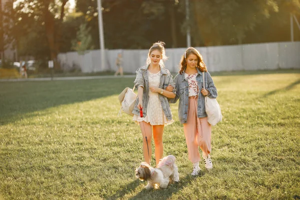 Dwie dziewczyny walczące w parku z małym psem — Zdjęcie stockowe