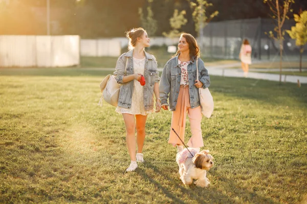 Две девочки гуляют в парке с маленькой собачкой — стоковое фото