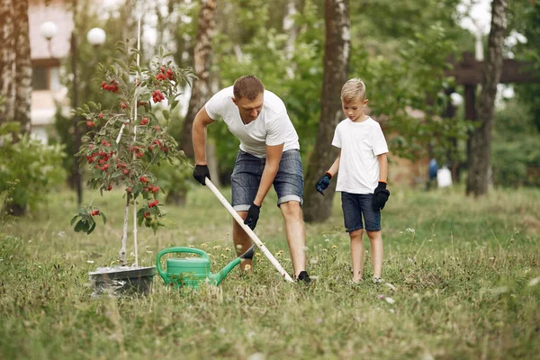 Ayah dengan anak kecil menanam pohon di halaman — Stok Foto