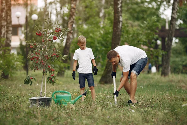 Far och lille son planterar ett träd på en gård. — Stockfoto