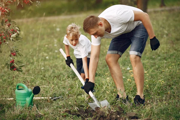 Ayah dengan anak kecil menanam pohon di halaman — Stok Foto