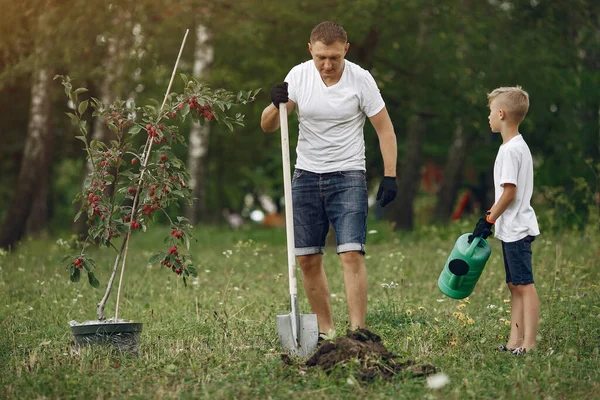 Padre con hijo pequeño están plantando un árbol en un patio —  Fotos de Stock