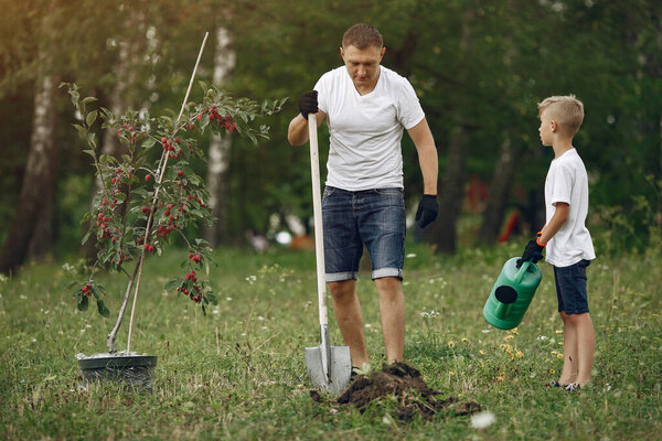 Father with little son are planting a tree on a yard