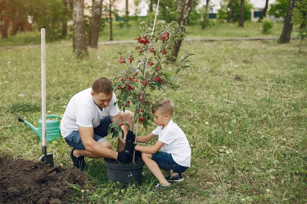 Far och lille son planterar ett träd på en gård. — Stockfoto