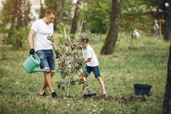 Far och lille son planterar ett träd på en gård. — Stockfoto