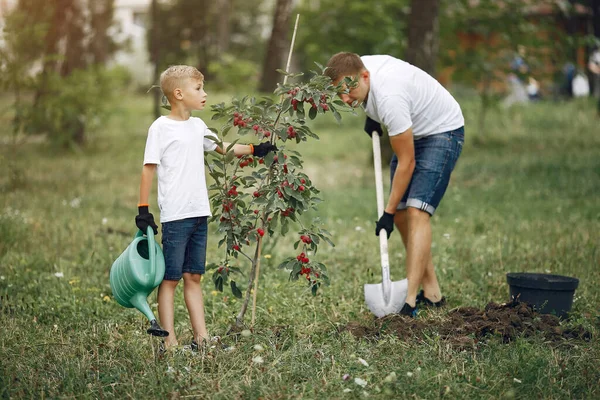 Far och lille son planterar ett träd på en gård. — Stockfoto