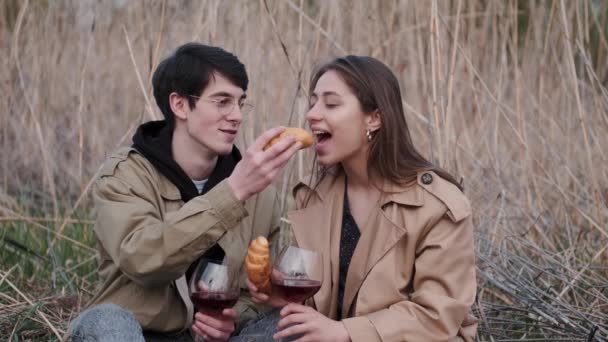 Bruna uomo feed fidanzata croissant su picnic in campo — Video Stock