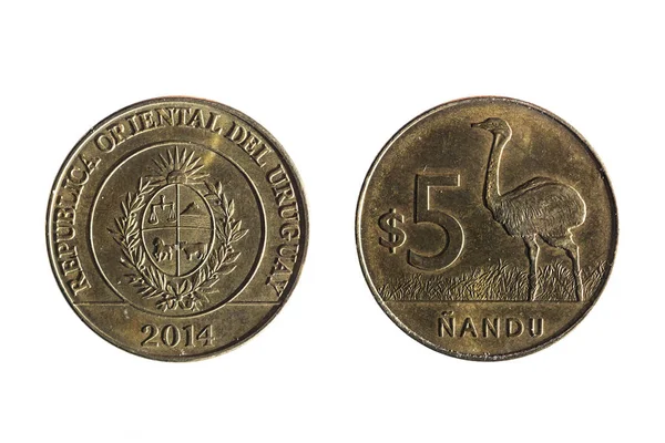 5 ペソのウルグアイの通貨 — ストック写真