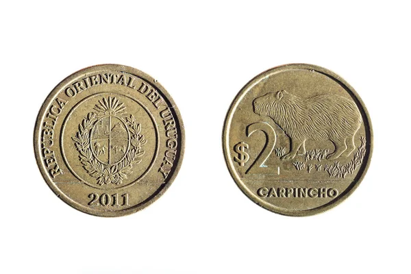 2 つのペソのウルグアイの通貨 — ストック写真