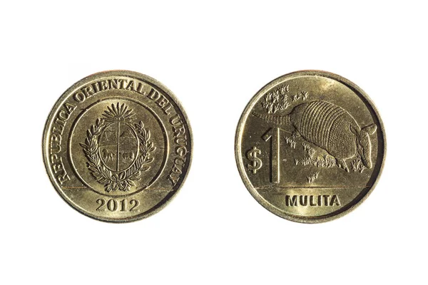 Пять песо уругвайской валюты — стоковое фото